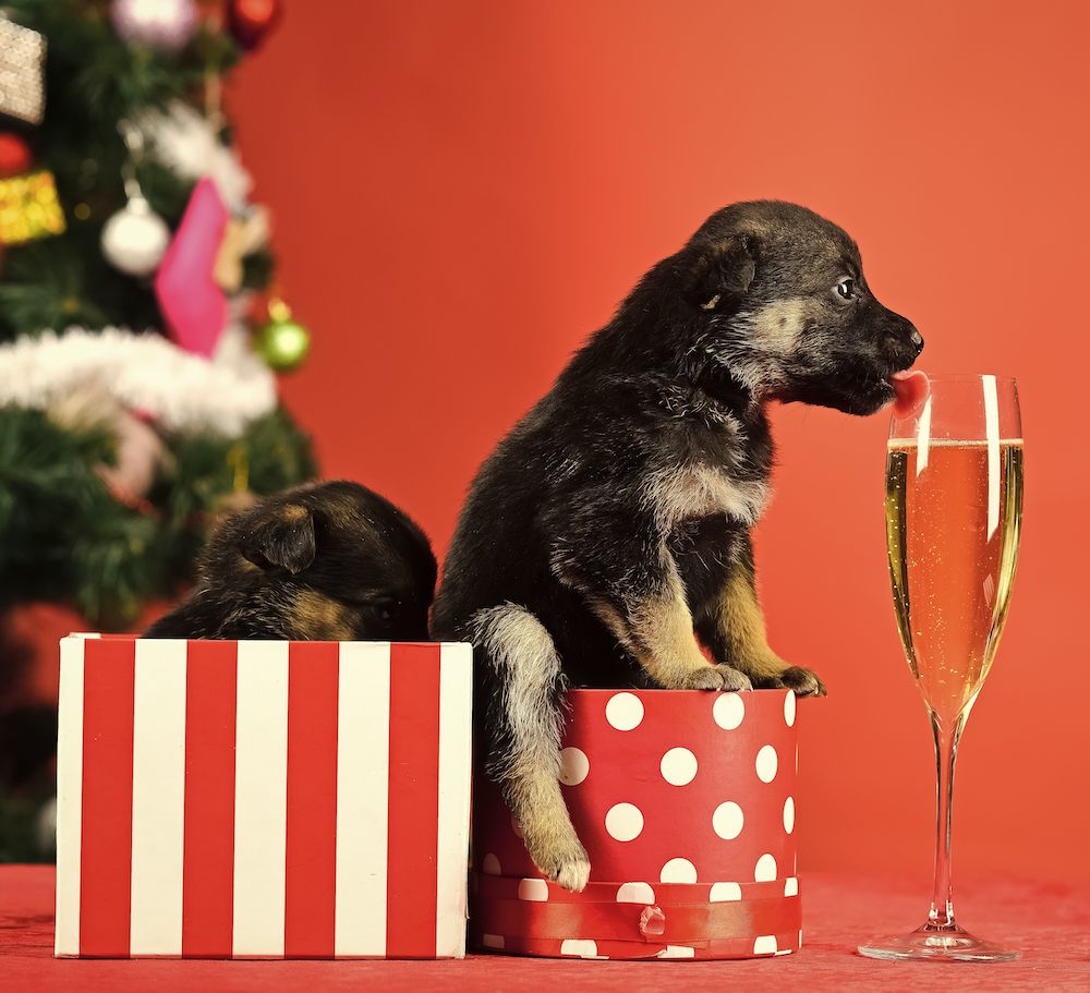 Editorial: December 17, 2021